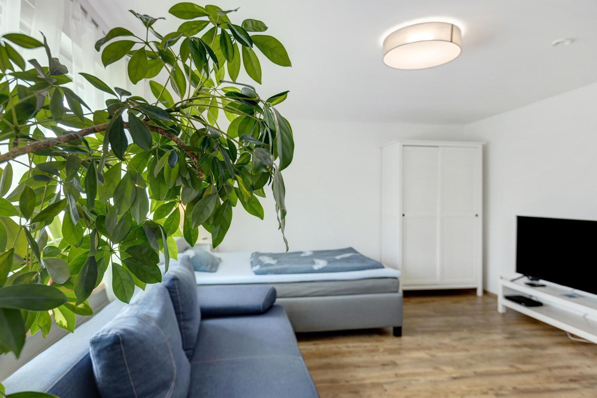 Ferienwohnung Pepe Donaueschingen Kültér fotó